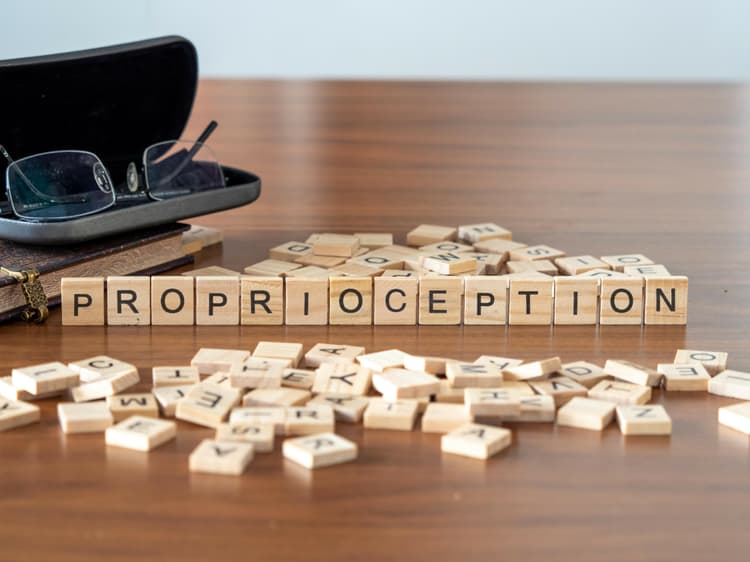 Propriocepcja