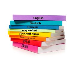 Słownictwo dzieci dwujęzycznych – rozwijanie sprawności leksykalnej